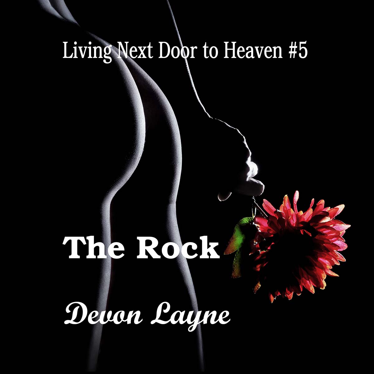 cover of The Rock