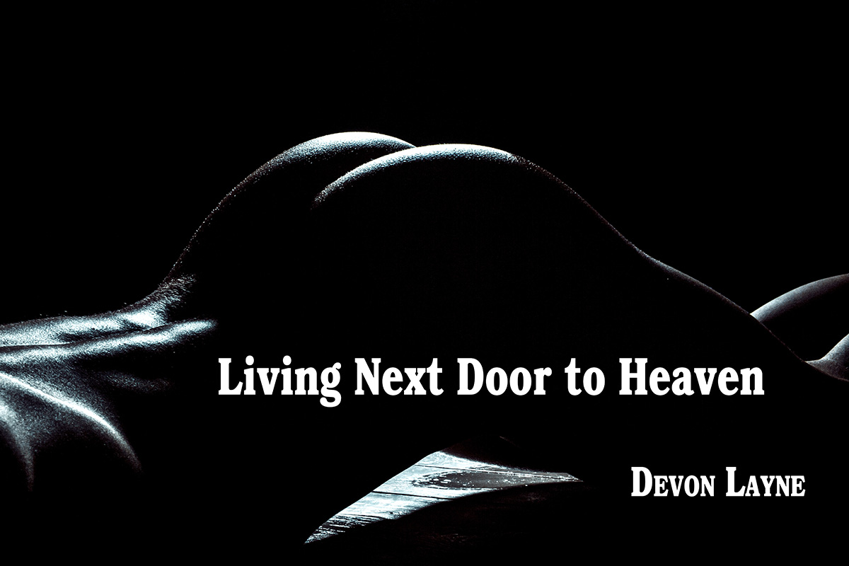 cover of Living Next Door to Heaven series
