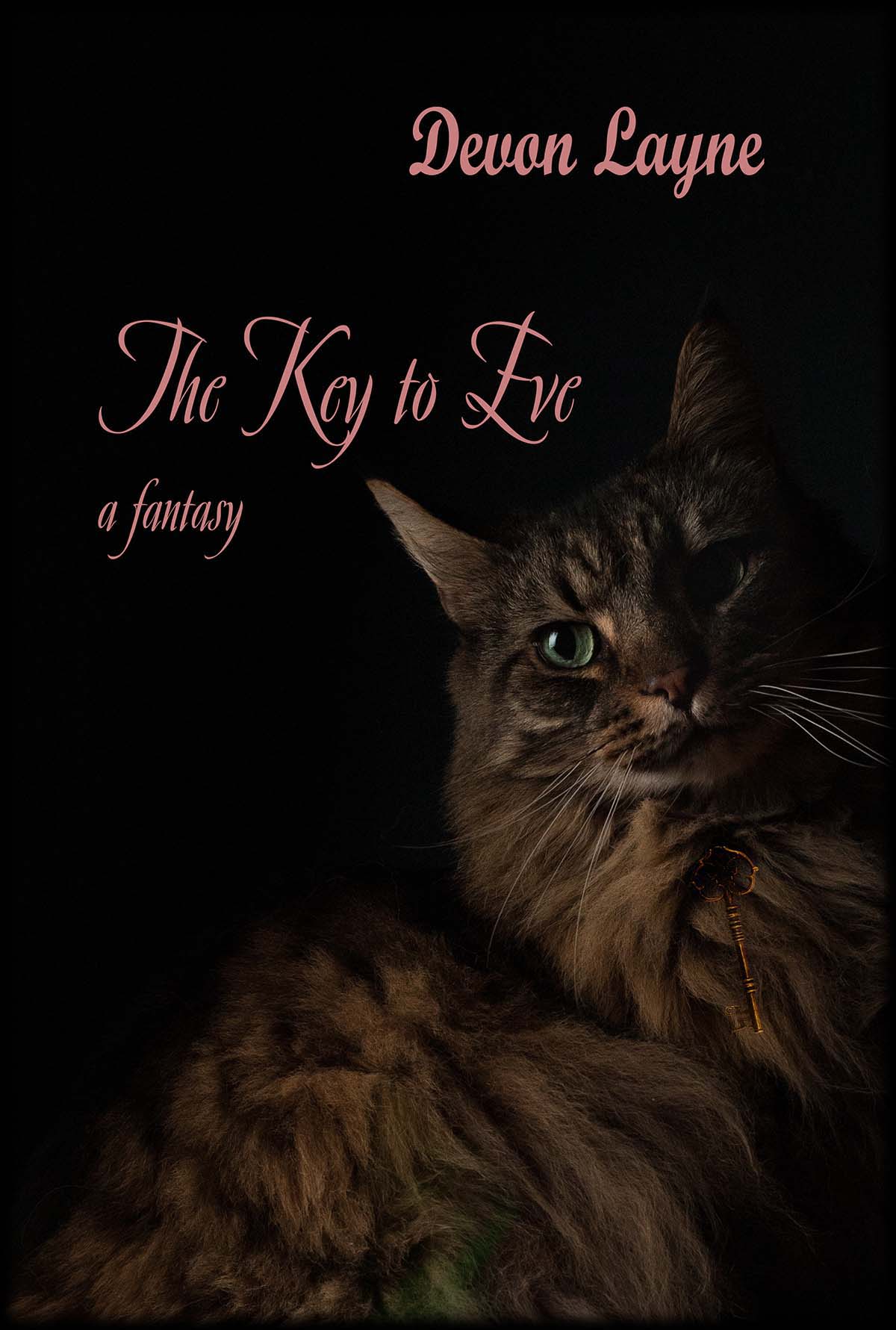 Cover of The Key to Eve